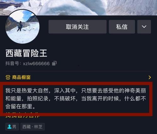 西藏冒险王事件爆料视频,生死边缘的极限挑战与真相曝光 第3张 西藏冒险王事件爆料视频,生死边缘的极限挑战与真相曝光 第3张